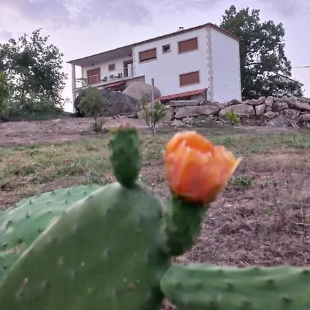 Quinta Do Cadaval Cortico