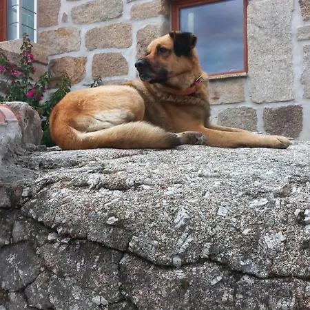 Vakantieboerderij Quinta Do Cadaval *