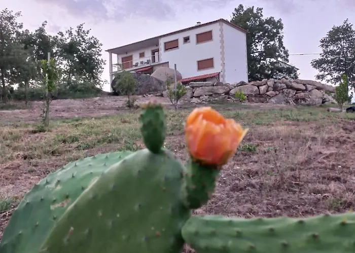 Quinta Do Cadaval Cortico